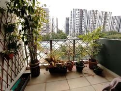 Bartley Ridge (D13), Condominium #534613251